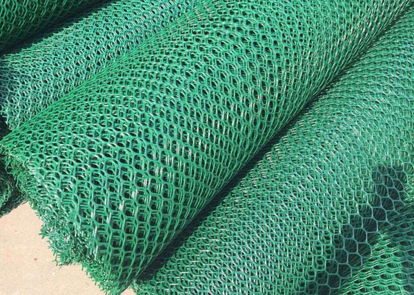 �����W(w��ng)